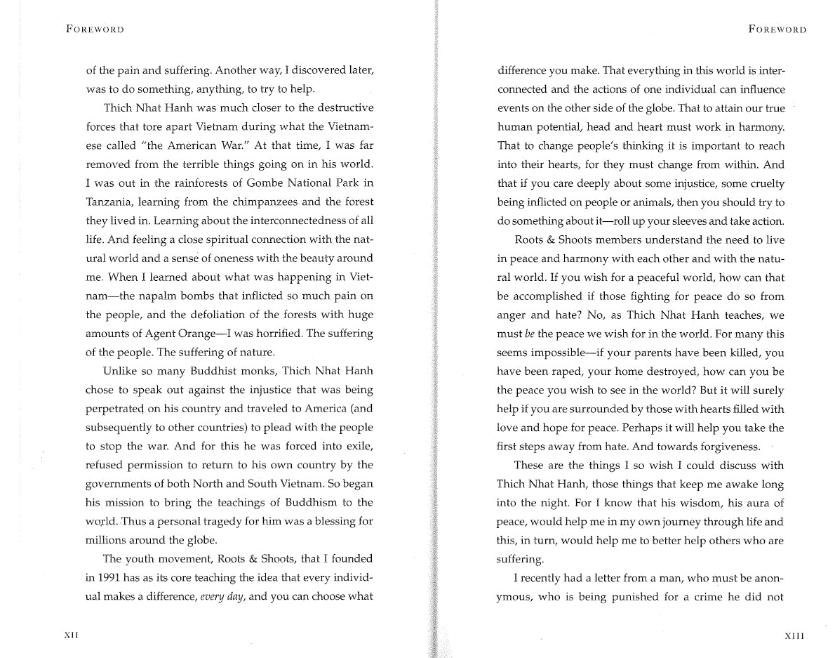 Being Peace、mySite、topwebapps