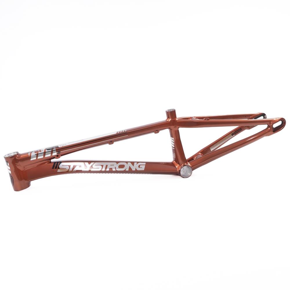  Stay Strong For Life 2023 V4 Pro XL Race Frame - Disc Version、mySite、merchandisen