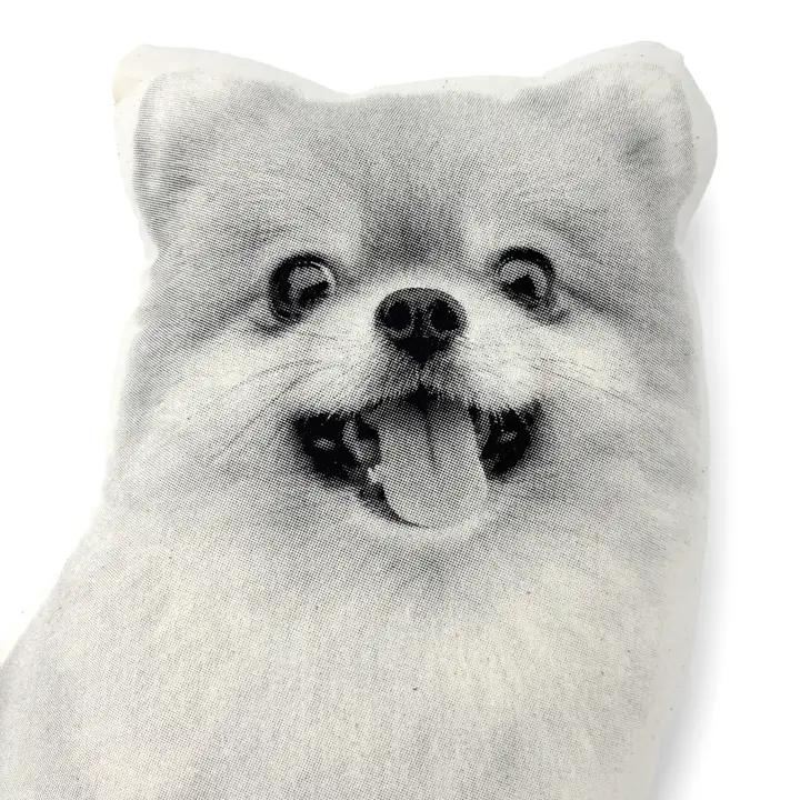 Pomeranian Pillow、mySite、g9winljtr