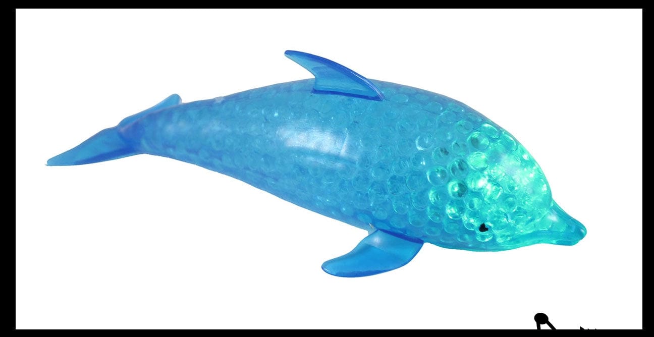 Light-Up Dolphin Water Bead FIlled Squeeze Fidget、mySite、g9winljtr