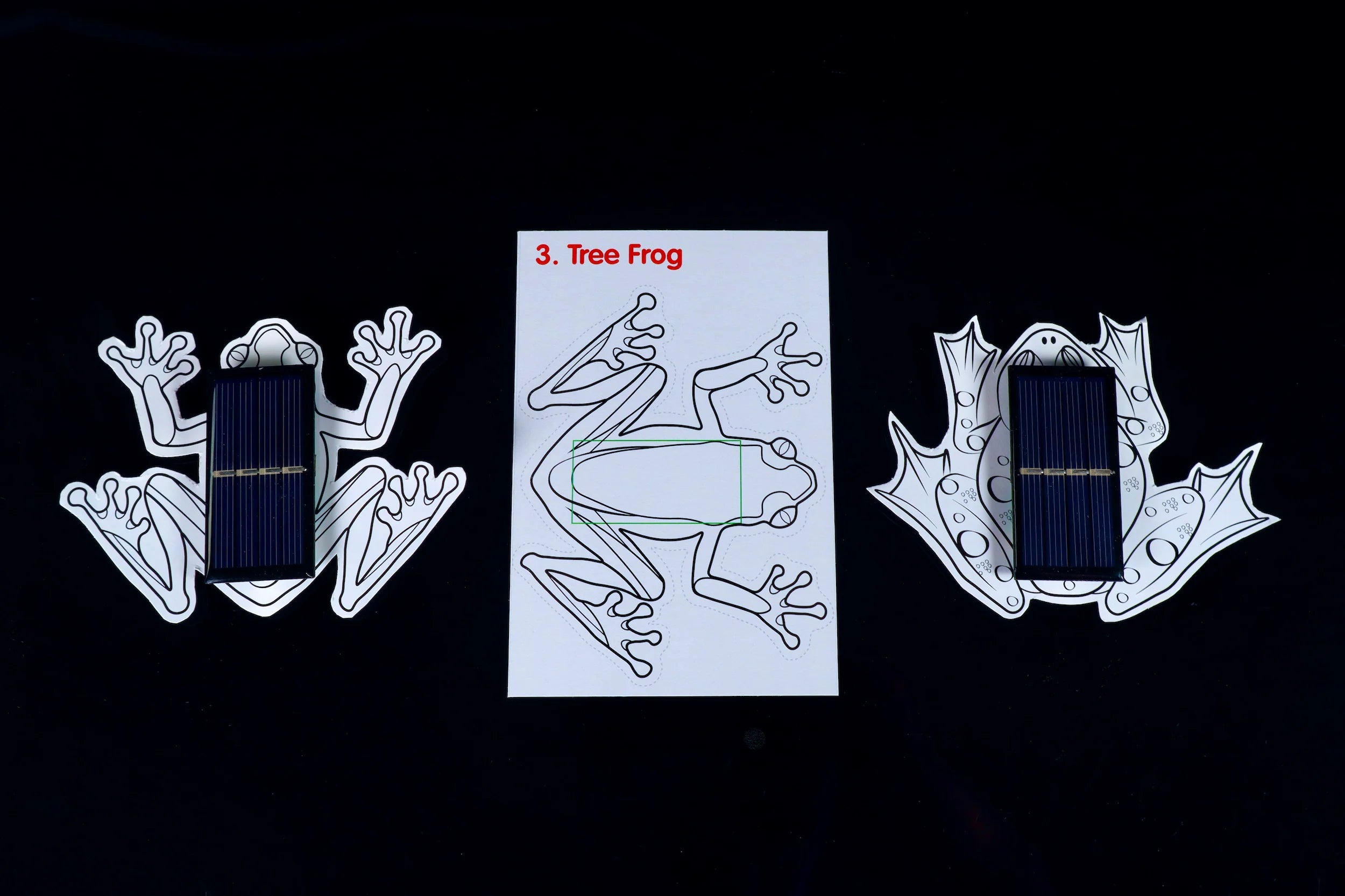 Solar Critters、mySite、lovesweatpilates