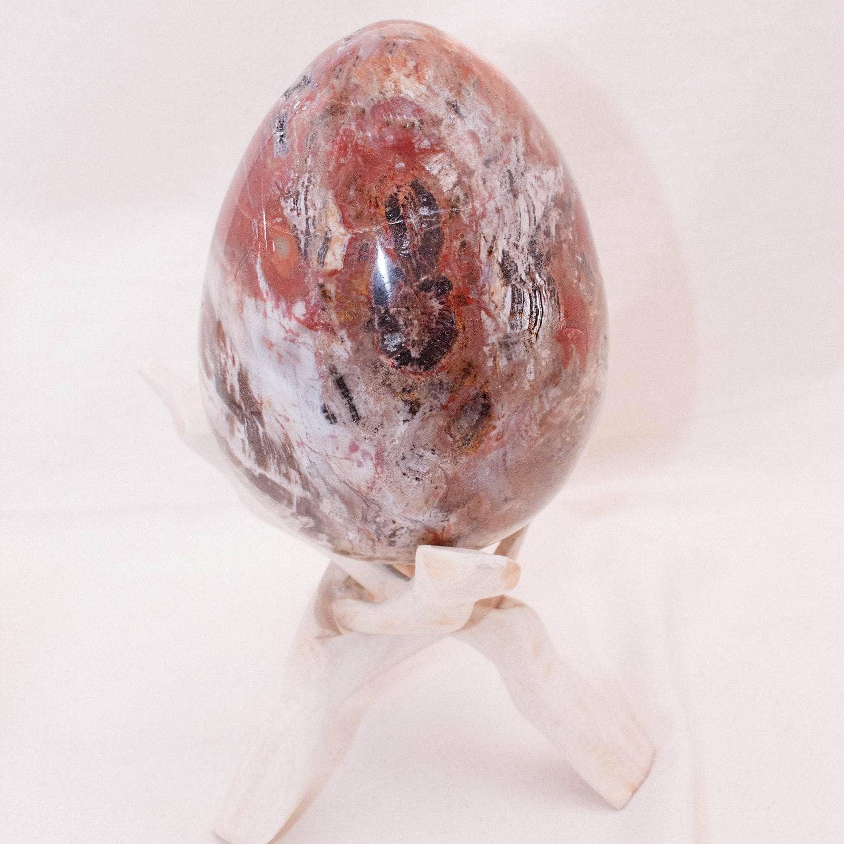 Petrified Wood Egg - AAA Premium Quality、mySite、hinf8tx79