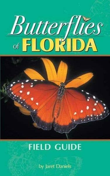 Butterflies Of Florida Field Guide Beautiful Photos and Information、mySite、g9winljtr