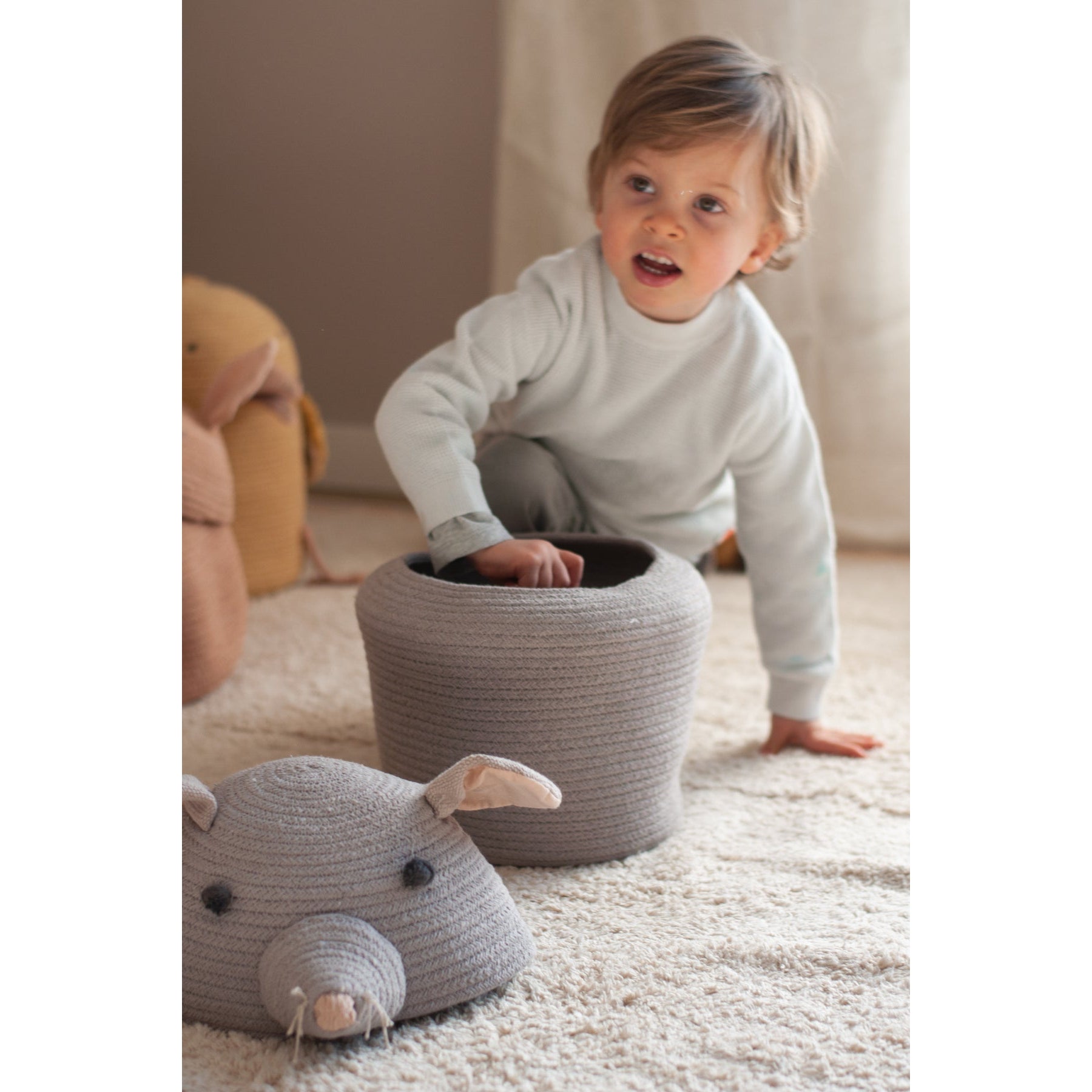 Renata the Rat Basket、mySite、gigharbornorthrealestate