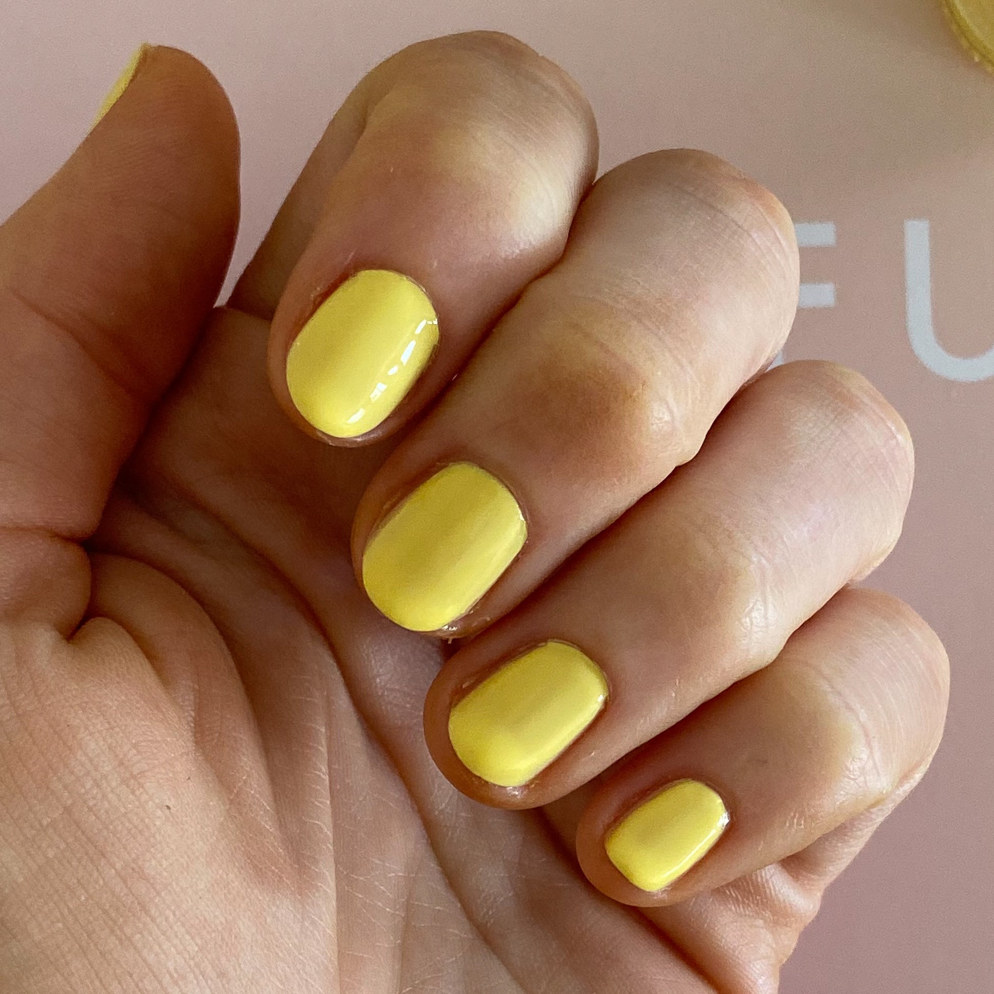 Bright & Focused、mySite、solidvoid