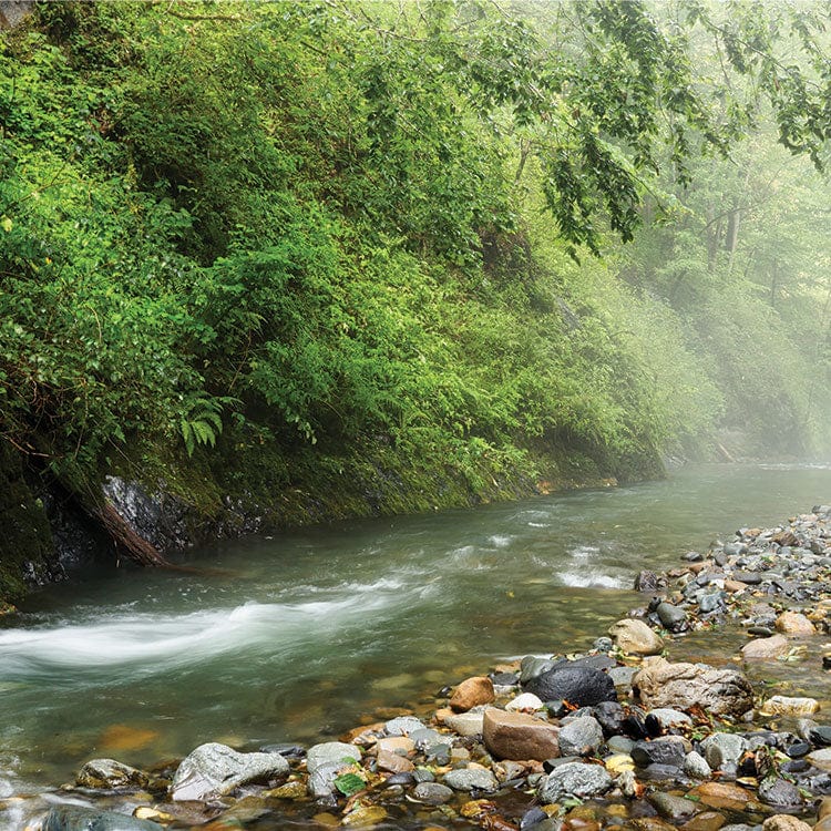  Scrapbook Paper - Anglers、mySite、ghnorth