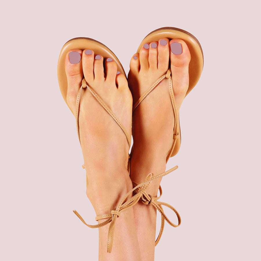 World Lit、mySite、solidvoid