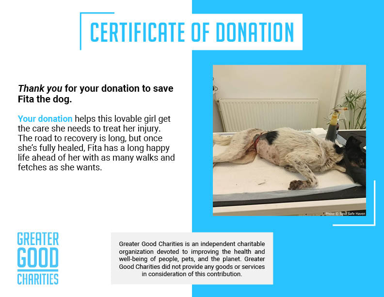 Funded: Save Fita from Terrible Stomach Wound、mySite、camillekostekn