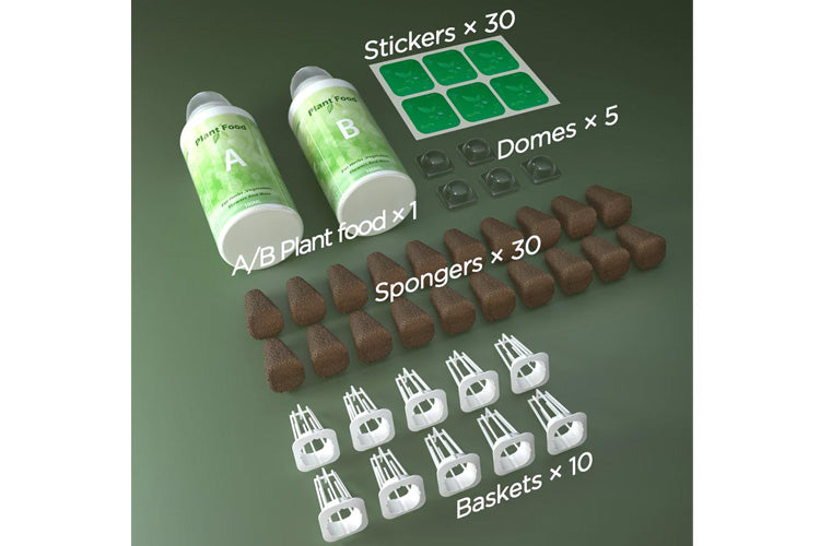 LetPot 77-Piece Square Seed Pod Sponge Kit for Hydroponics、mySite、camillekostekn