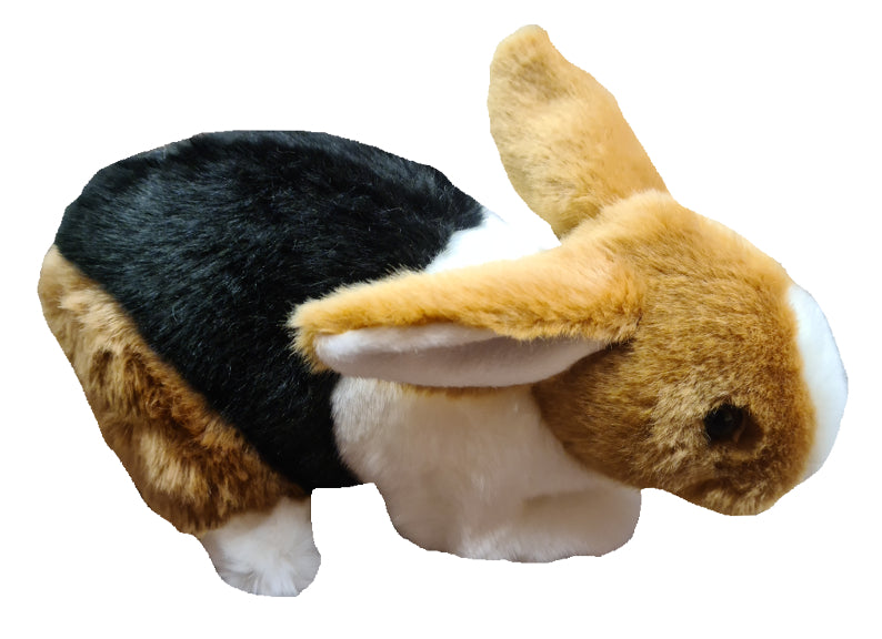 Rabbit、mySite、g9winljtr