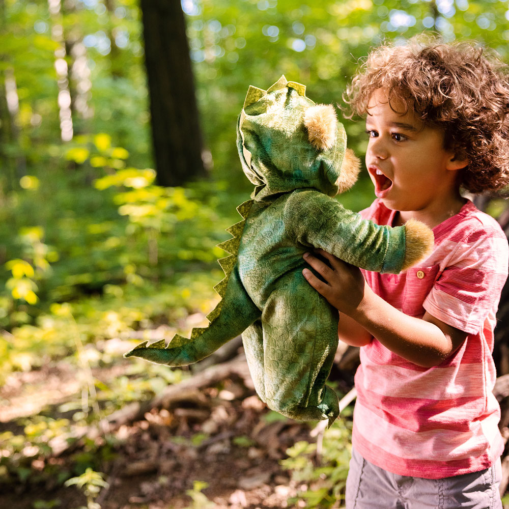 15 In. Dinosaur Bear、mySite、pszhyizbm