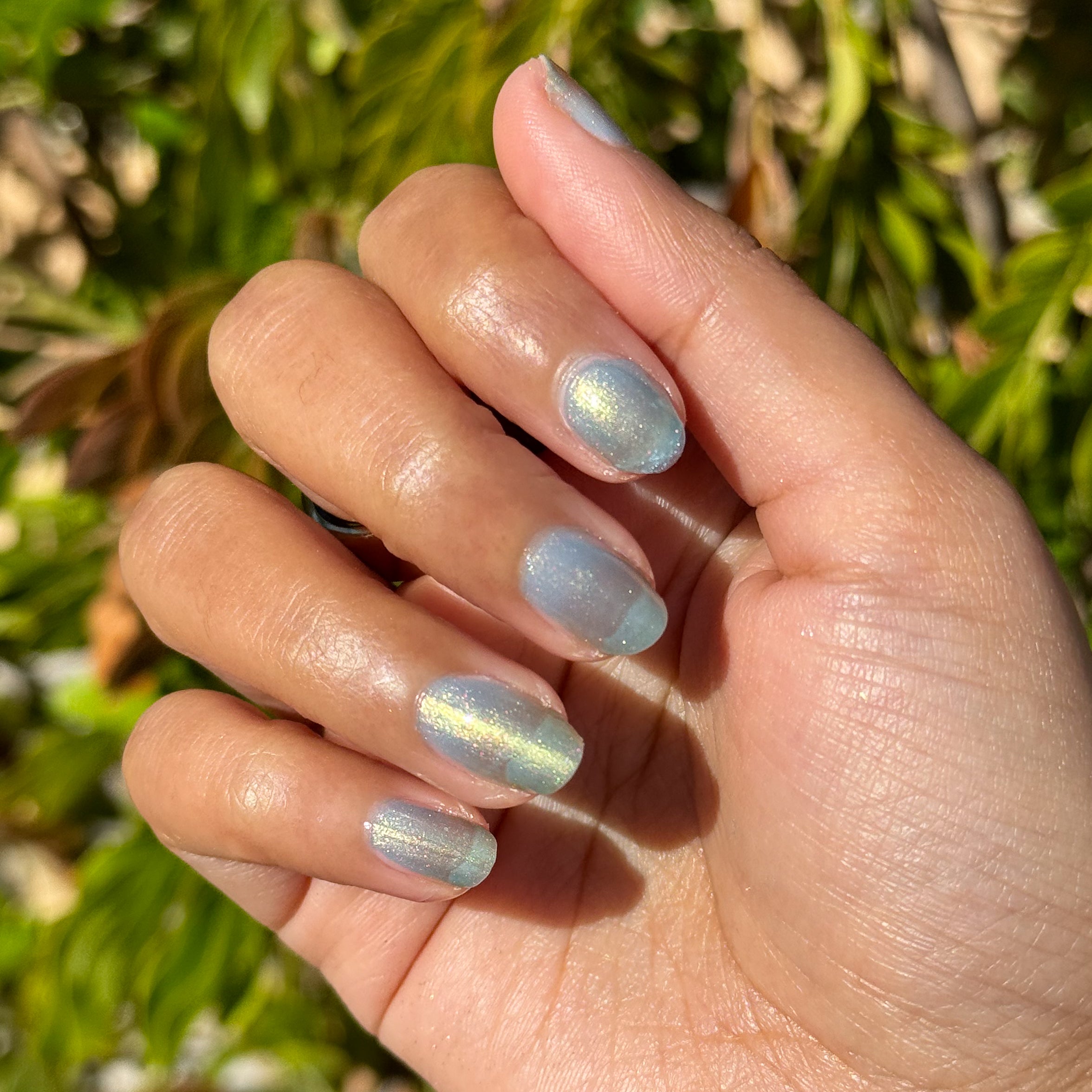 Sequin Everything、mySite、solidvoid