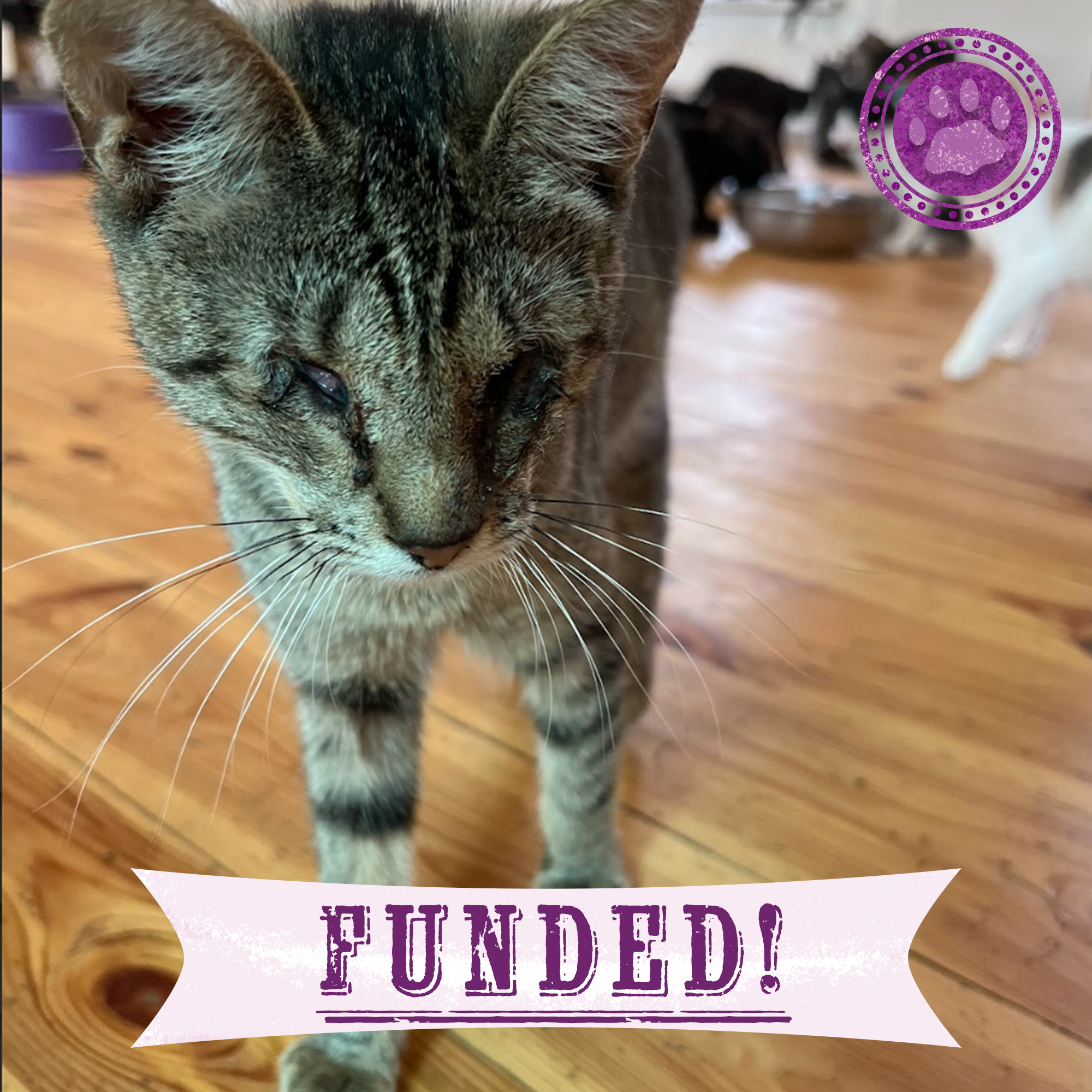 Funded: Help Lasunya Recover After Losing Her Sight、mySite、camillekostekn