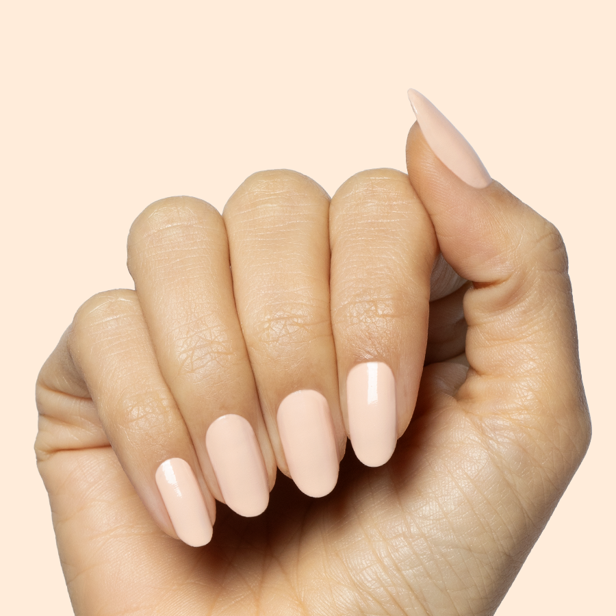 Silky、mySite、solidvoid