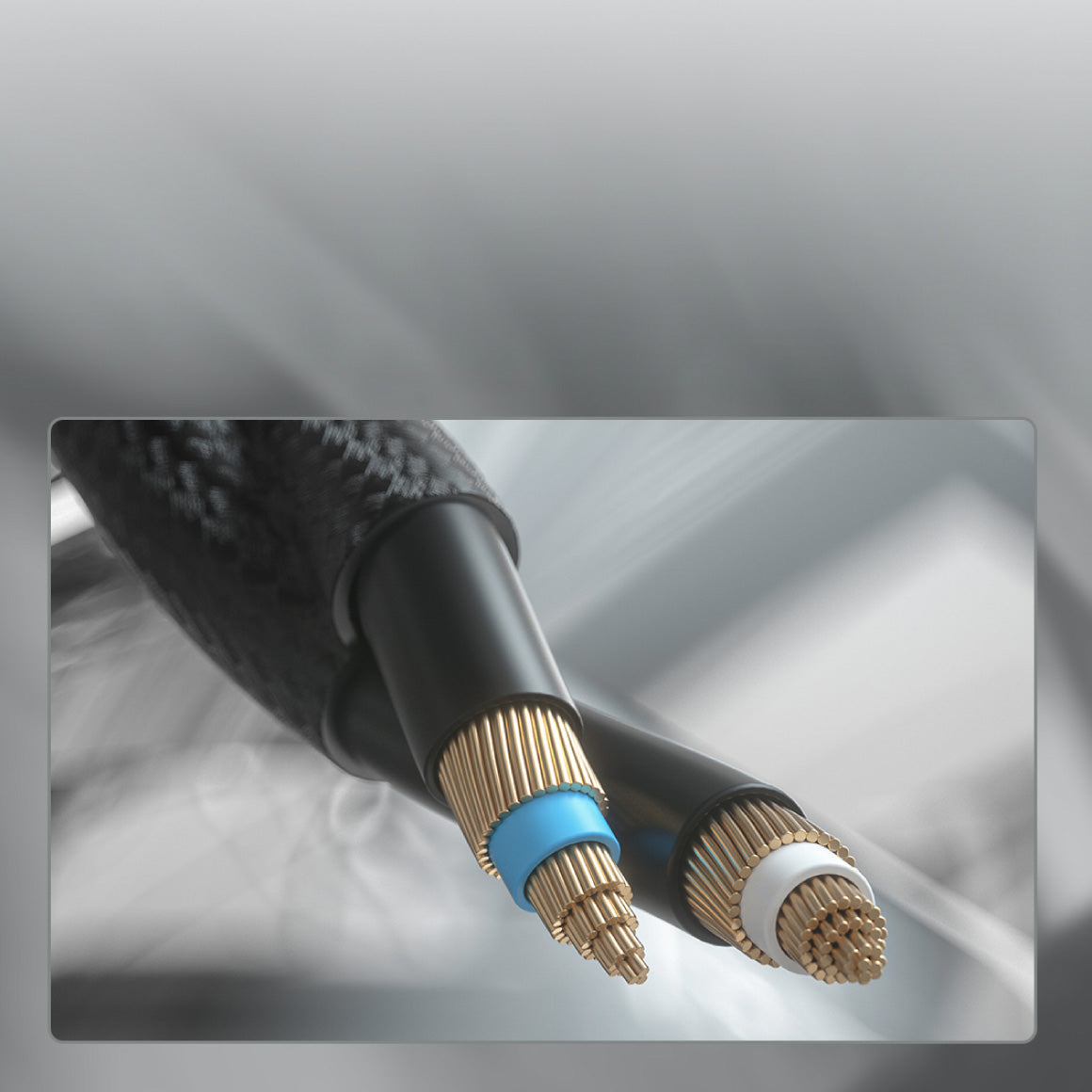  FiiO - FT3 350 Ohms、mySite、merchandisen