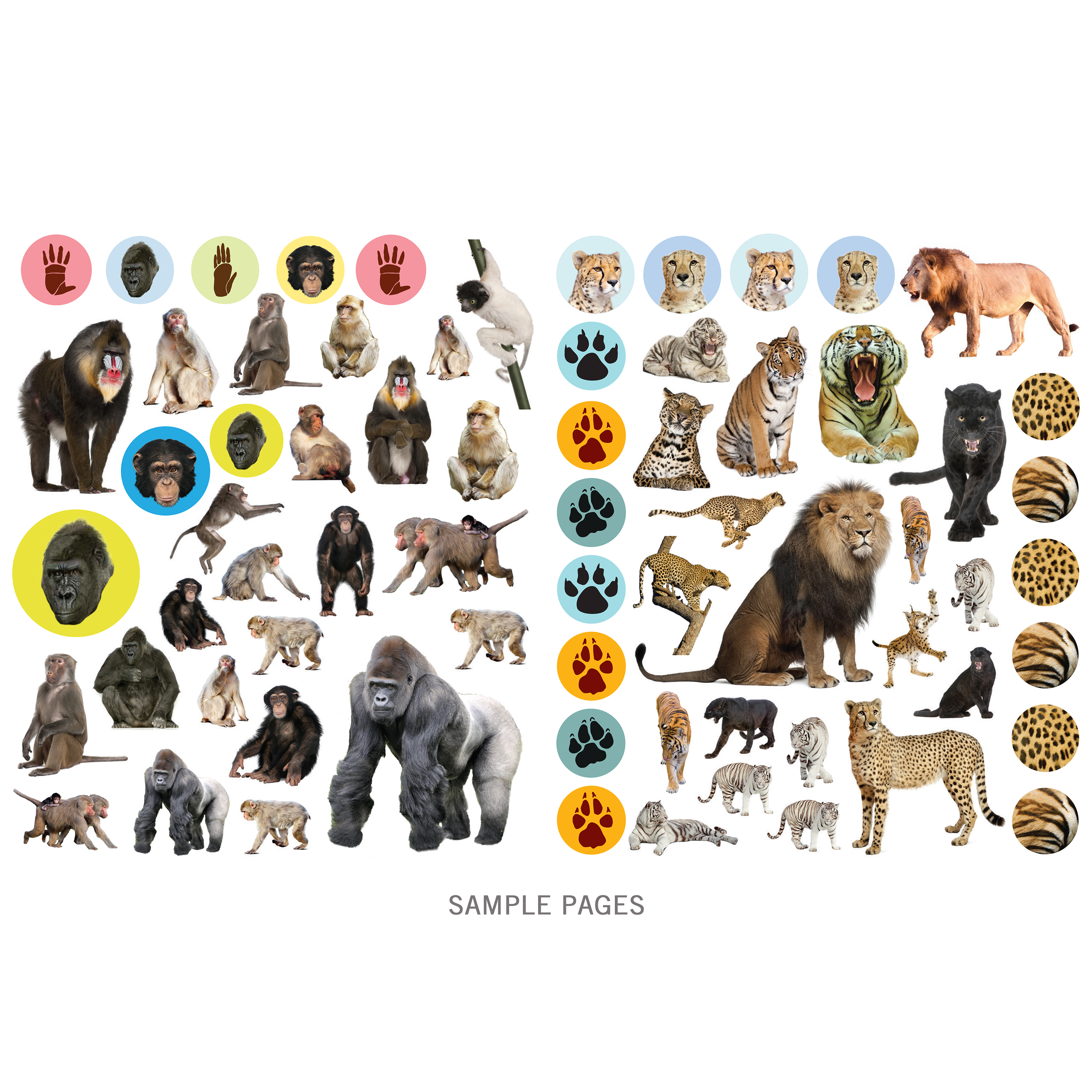  Wild Animals Eyelike Sticker Activity Book、mySite、ghnorth