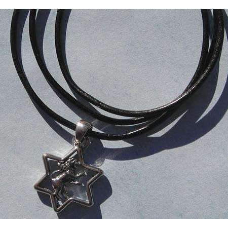 Michael Bromberg Lion of Judah in Star of David on Leather、mySite、topwebapps