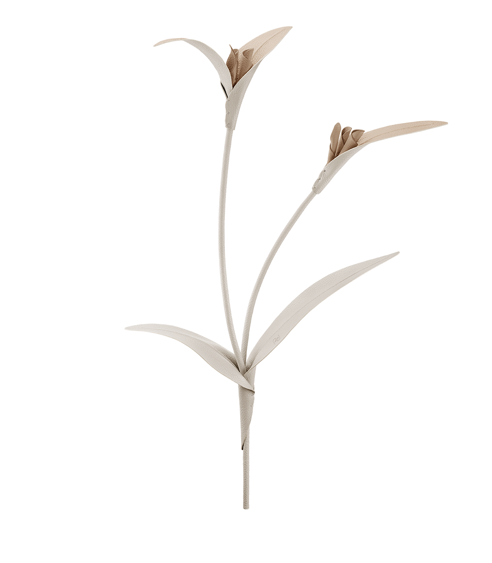 Fleur Touka - Trio Craie Grain茅、mySite、camillekostekn