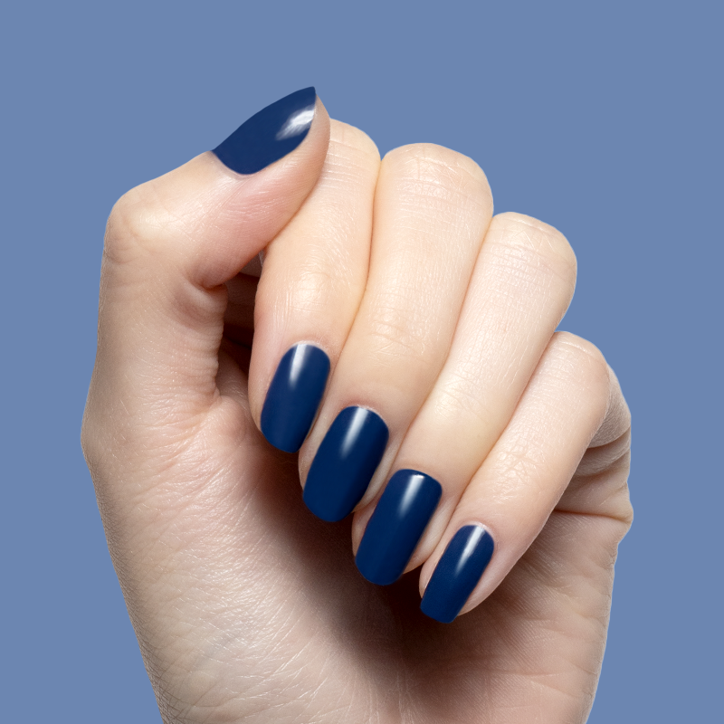 Ack, A Shark!、mySite、solidvoid