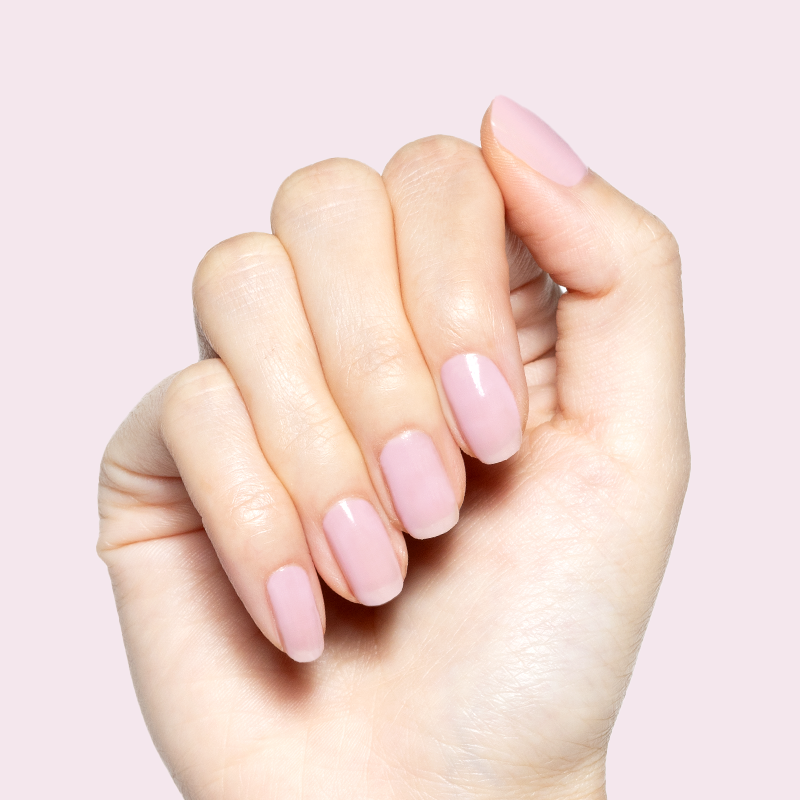 Glossed、mySite、solidvoid