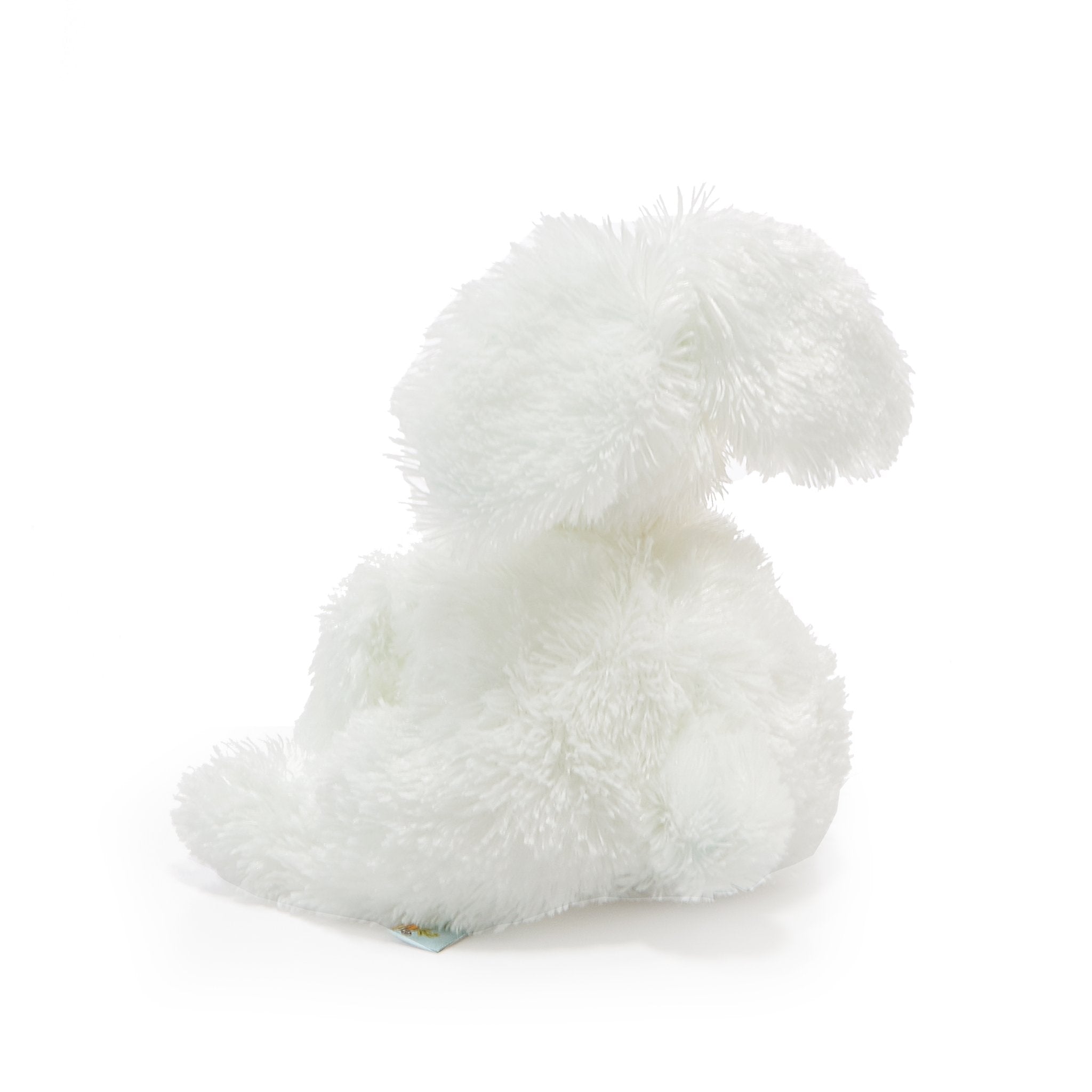 RETIRED - Bun Bun Floppy Bun、mySite、g9winljtr