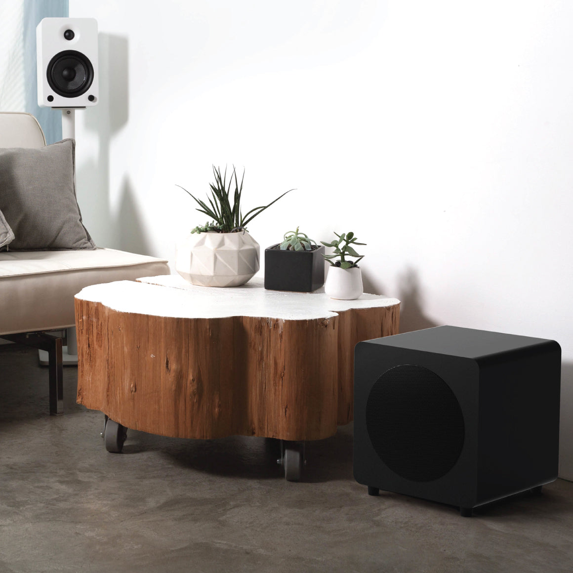  Kanto - SUB8、mySite、merchandisen