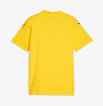 PUMA-TEAMGLORY JERSEY WOMEN-Yellow、mySite、noshort