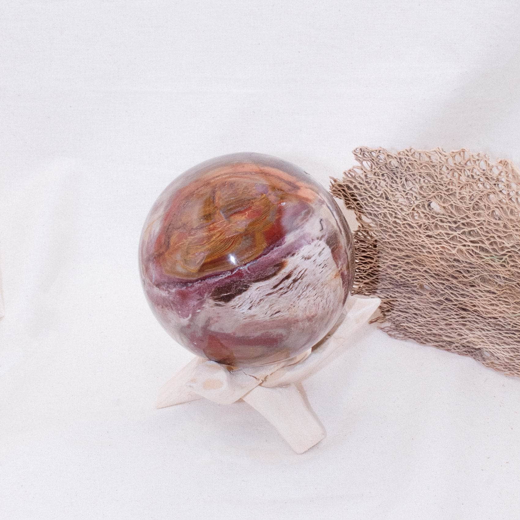 Petrified Wood Sphere - AAA Premium Quality、mySite、hinf8tx79