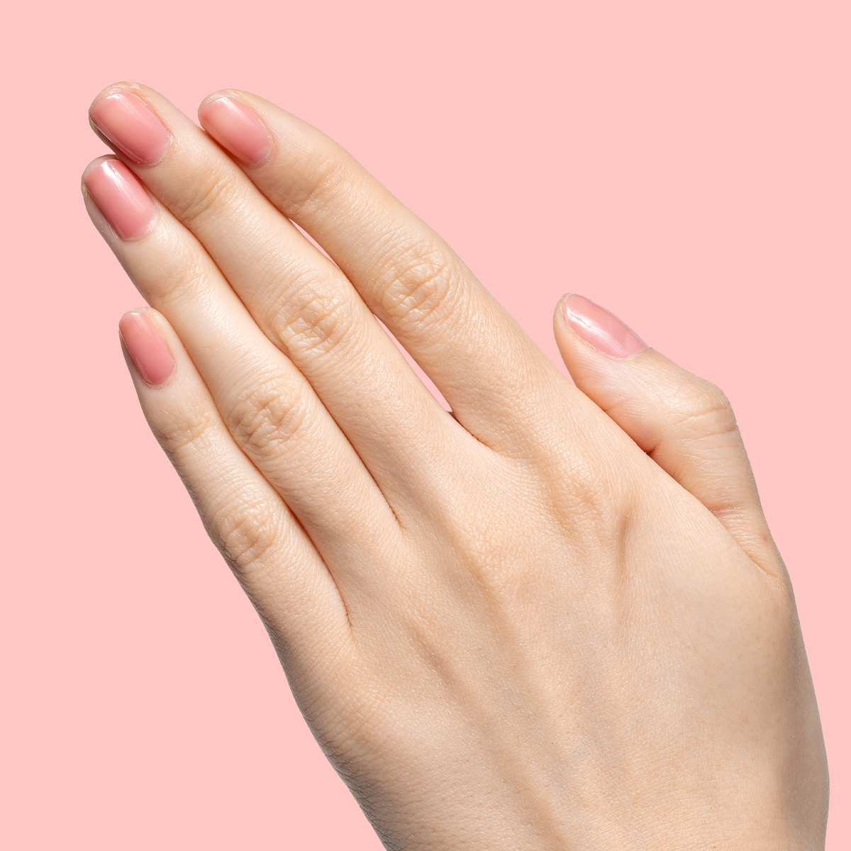 Pink Pineapple Gloss、mySite、solidvoid