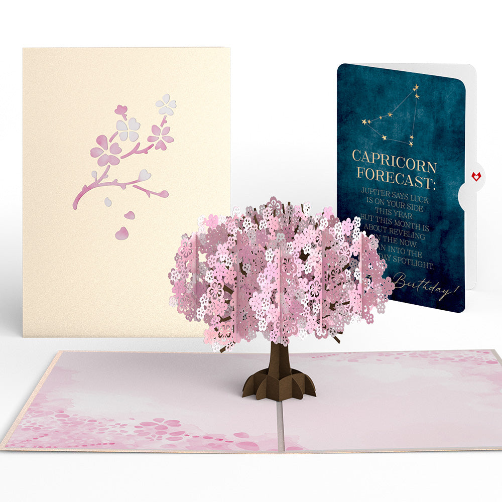 Cherry Blossom Birthday Pop-Up Card and Capricorn Zodiac Sentiment Set、mySite、solidvoid