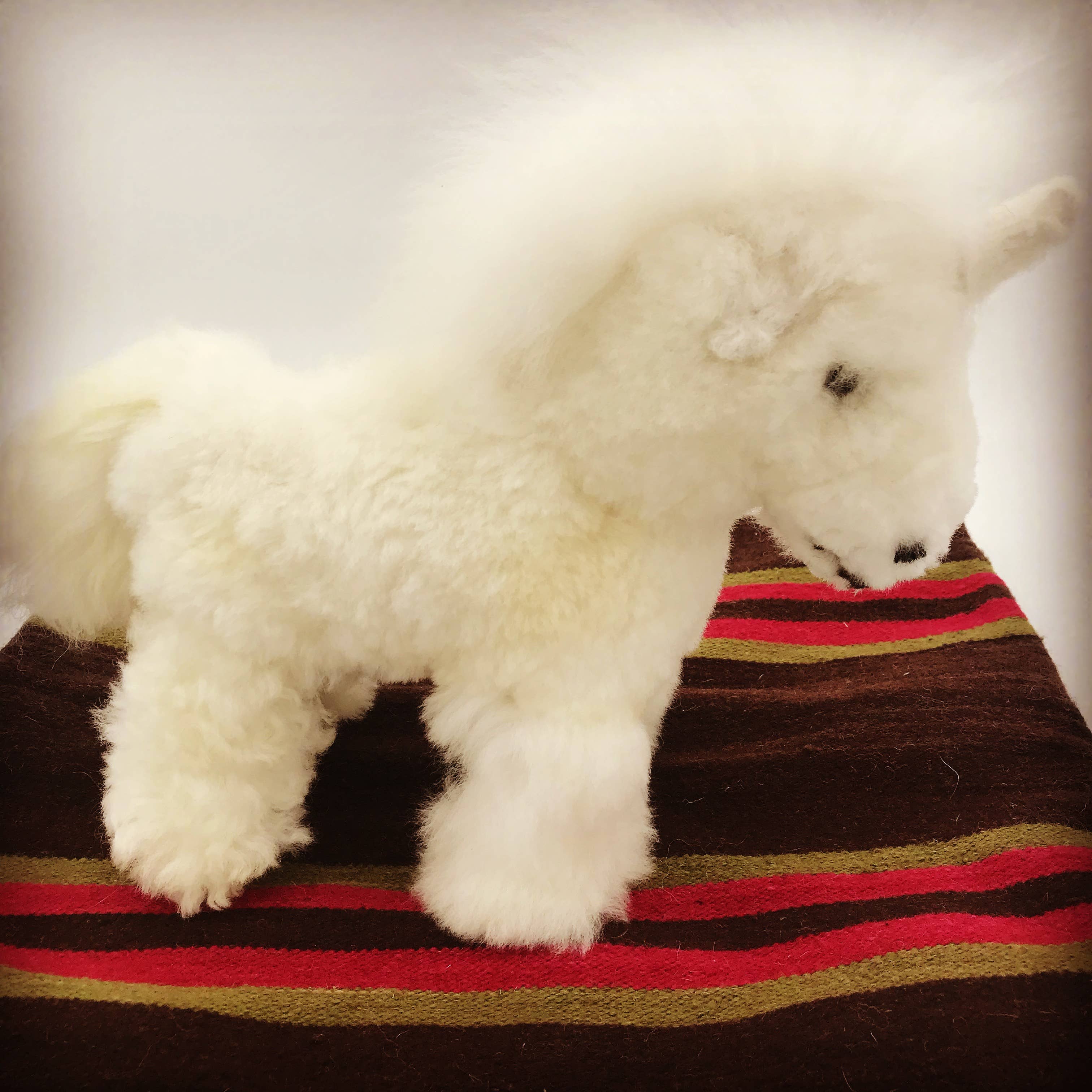 Unicorn Handmade in Peru Alpaca Fur Toy、mySite、g9winljtr