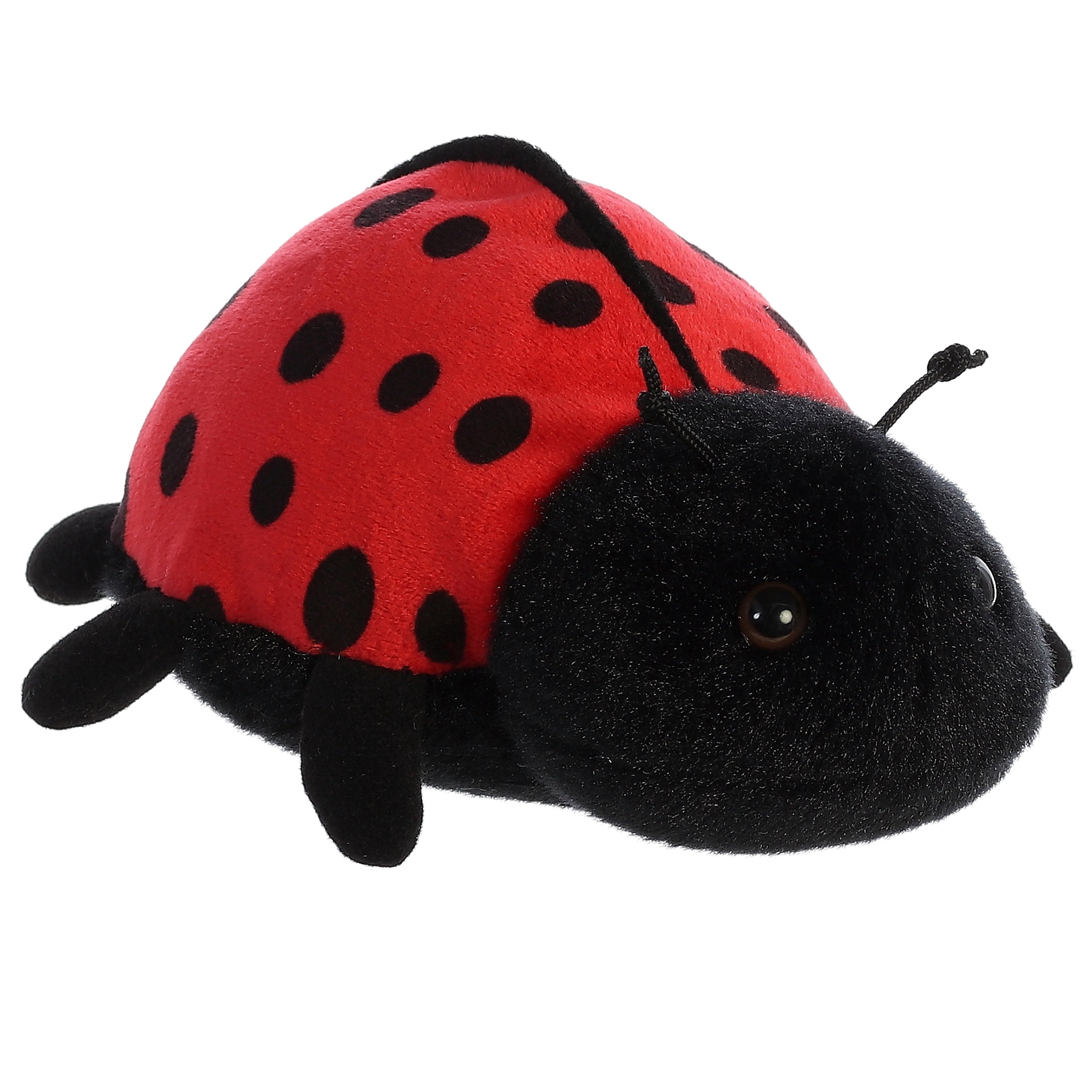 Aurora® - Mini Flopsie™ - 8 Ladybug-Ladybird™、mySite、g9winljtr