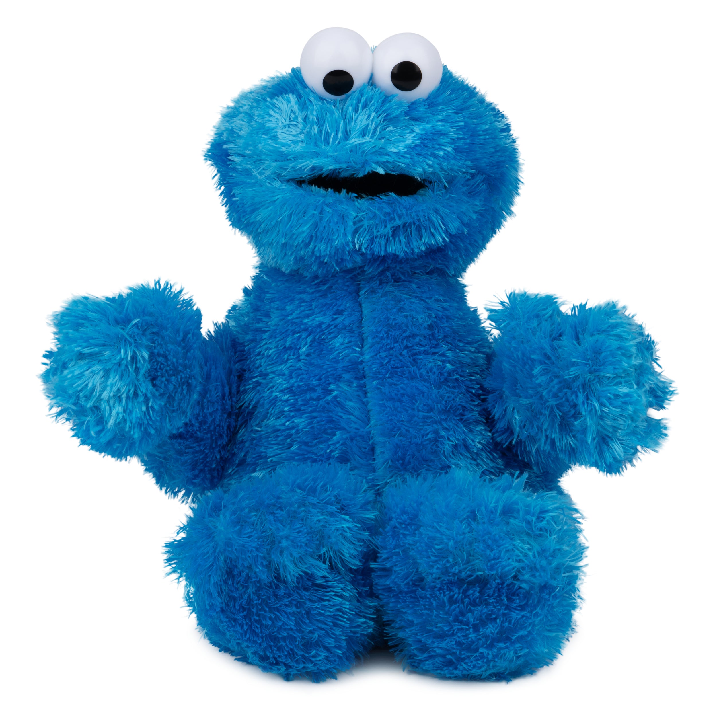 Sesame Street: Cookie Monster, 12 in、mySite、pszhyizbm