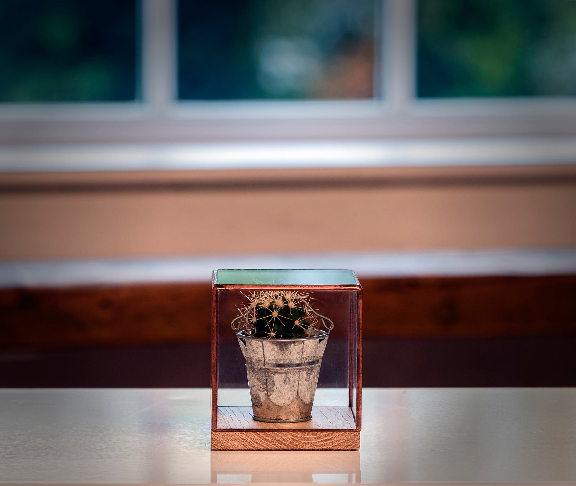 Showcase 100、mySite、topwebapps