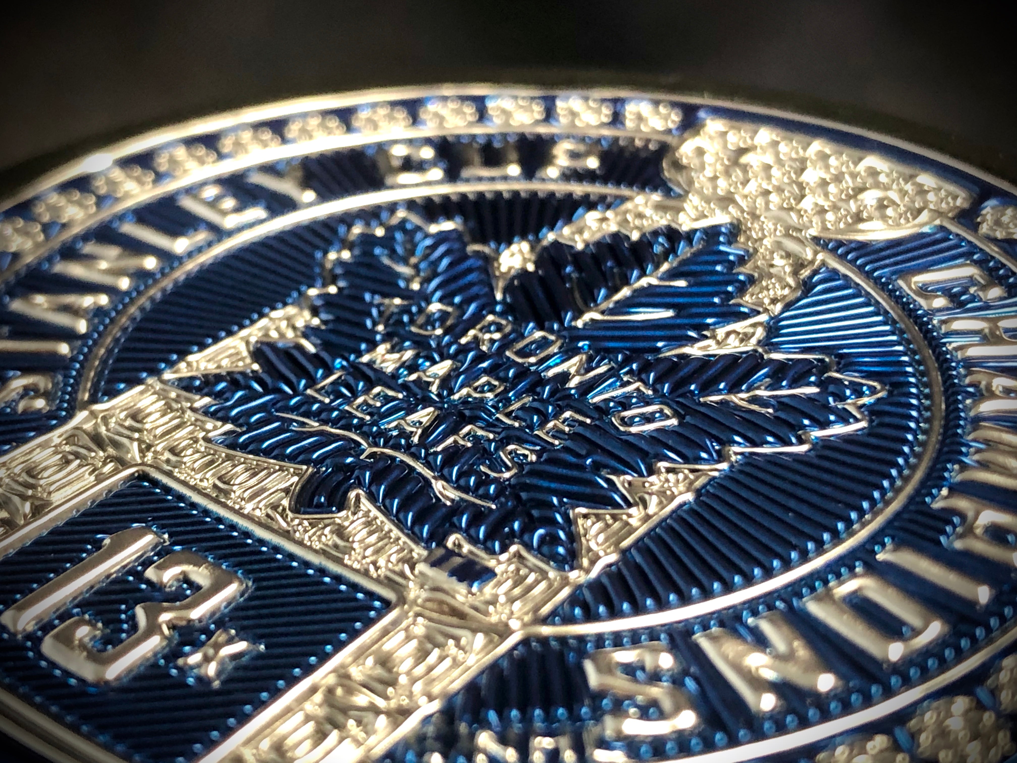 Toronto Maple Leafs Puck | Stanley Cup Trimflexx、mySite、neckold