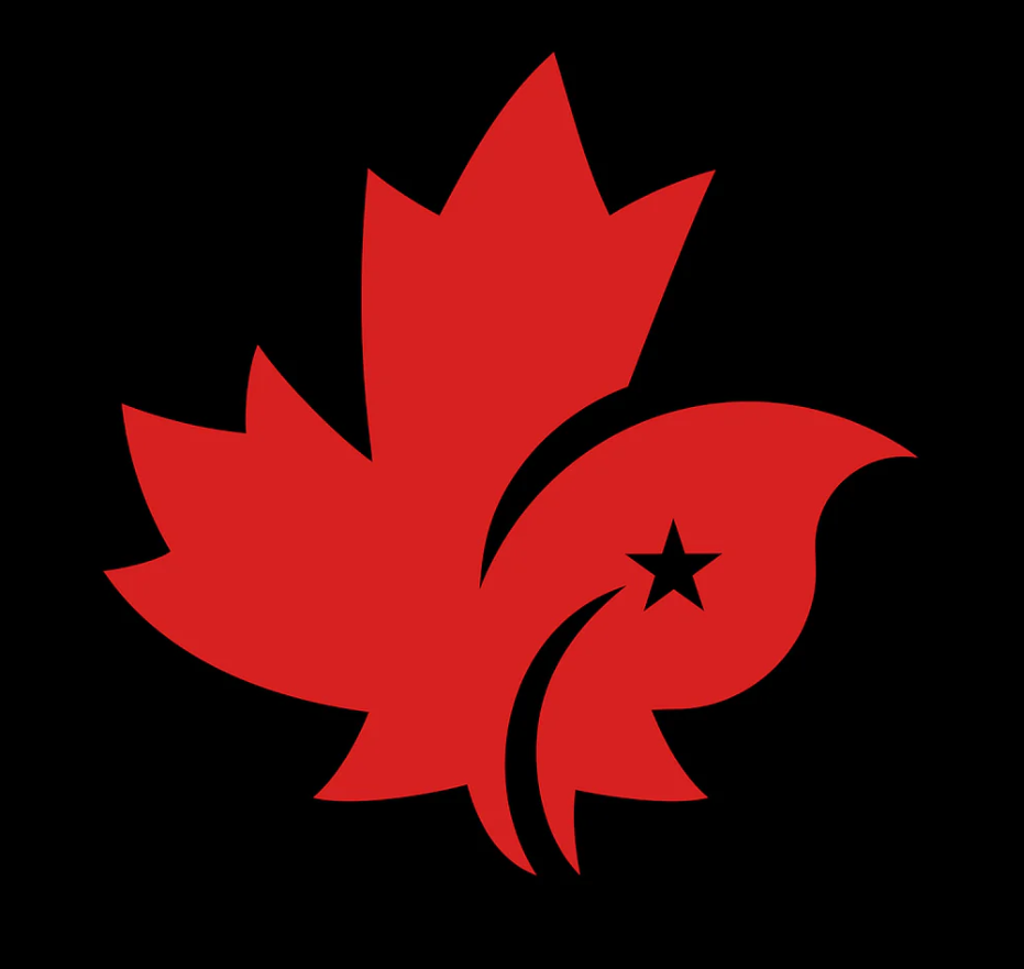 CDNIS Girl's PE Shorts、mySite、g9winljtr