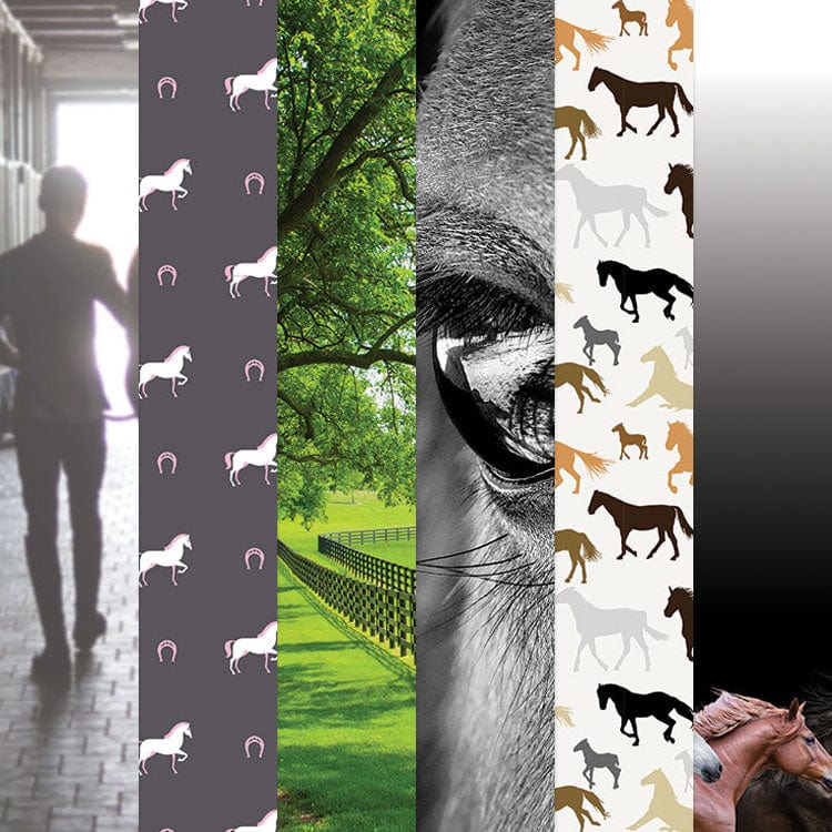  Horse 12 x 12 Scrapbook Paper Set、mySite、ghnorth