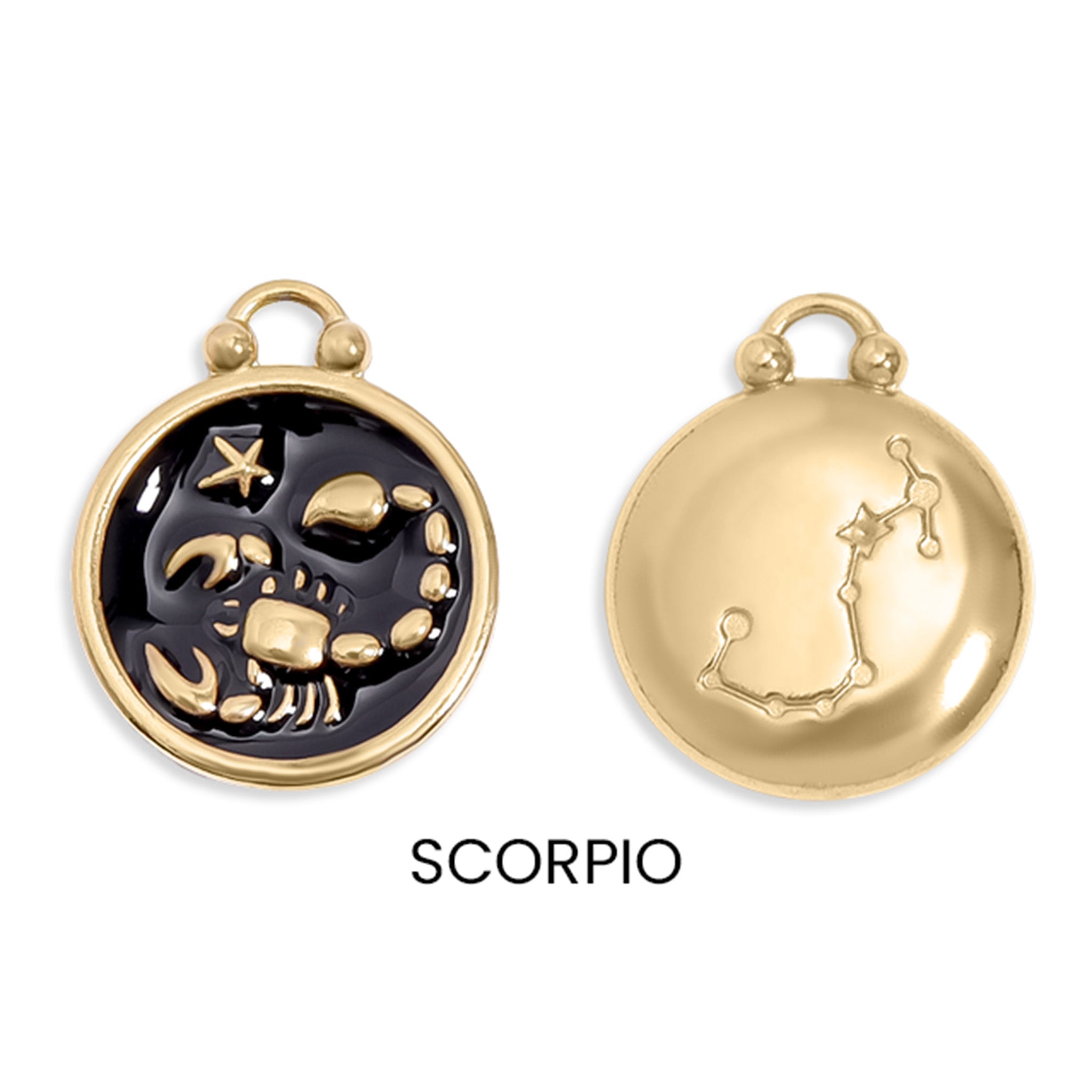 18K Gold PVD Stainless Steel Epoxy Filled Zodiac Pendants / PDL0218、mySite、dreamappss