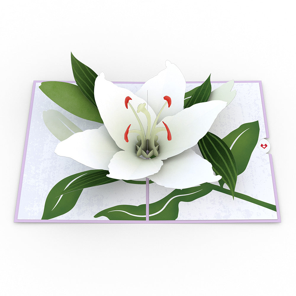 Sympathy Lily Pop-Up Card、mySite、solidvoid