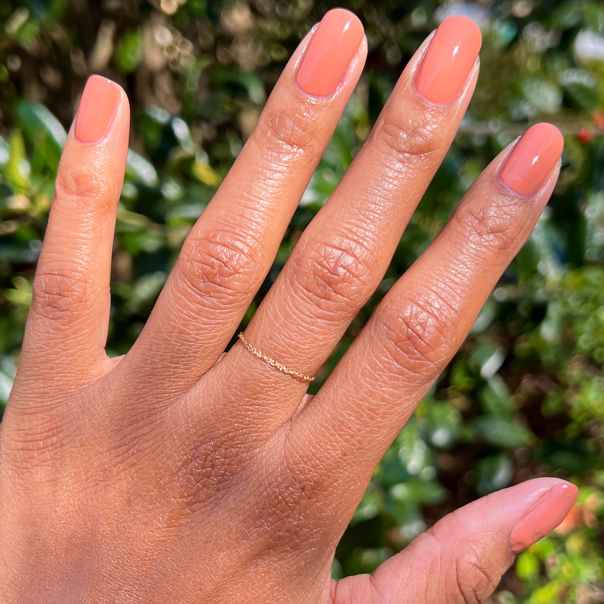 Start Small、mySite、solidvoid