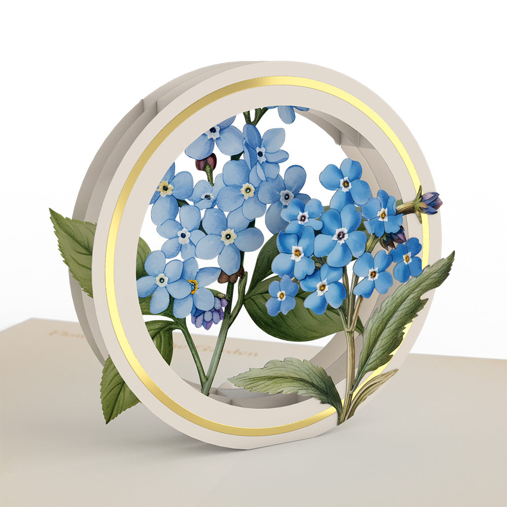 Beautiful Botanicals Box Set (Assorted 12-Pack): Paperpop® Card、mySite、solidvoid