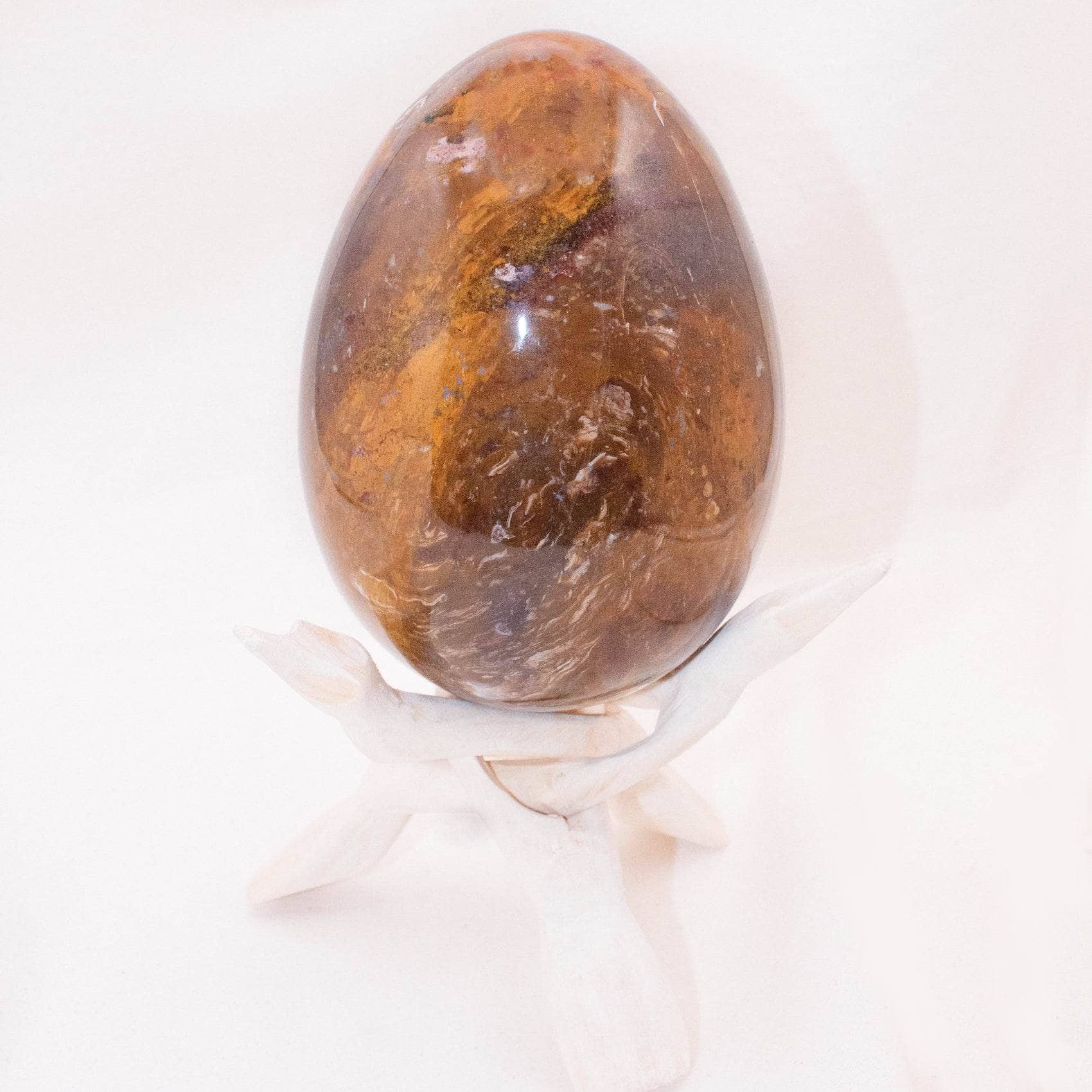 Petrified Wood Egg - AAA Premium Quality、mySite、hinf8tx79