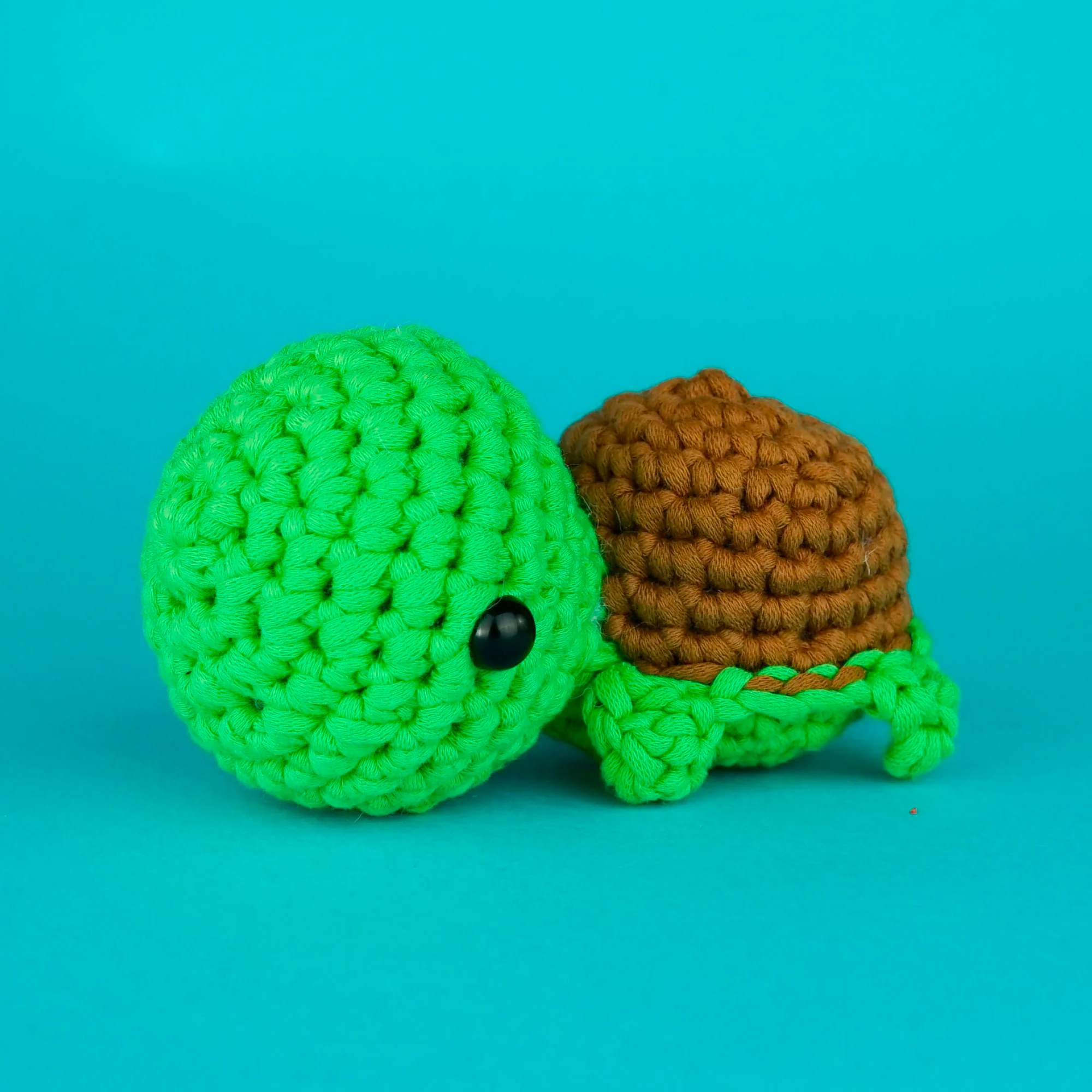  Passport Pals Bundle、mySite、ghnorth