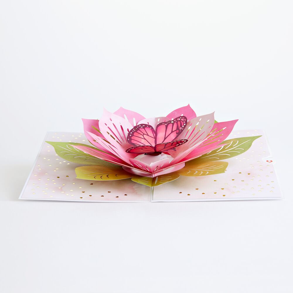 Valentine's Day Butterfly Bundle、mySite、solidvoid