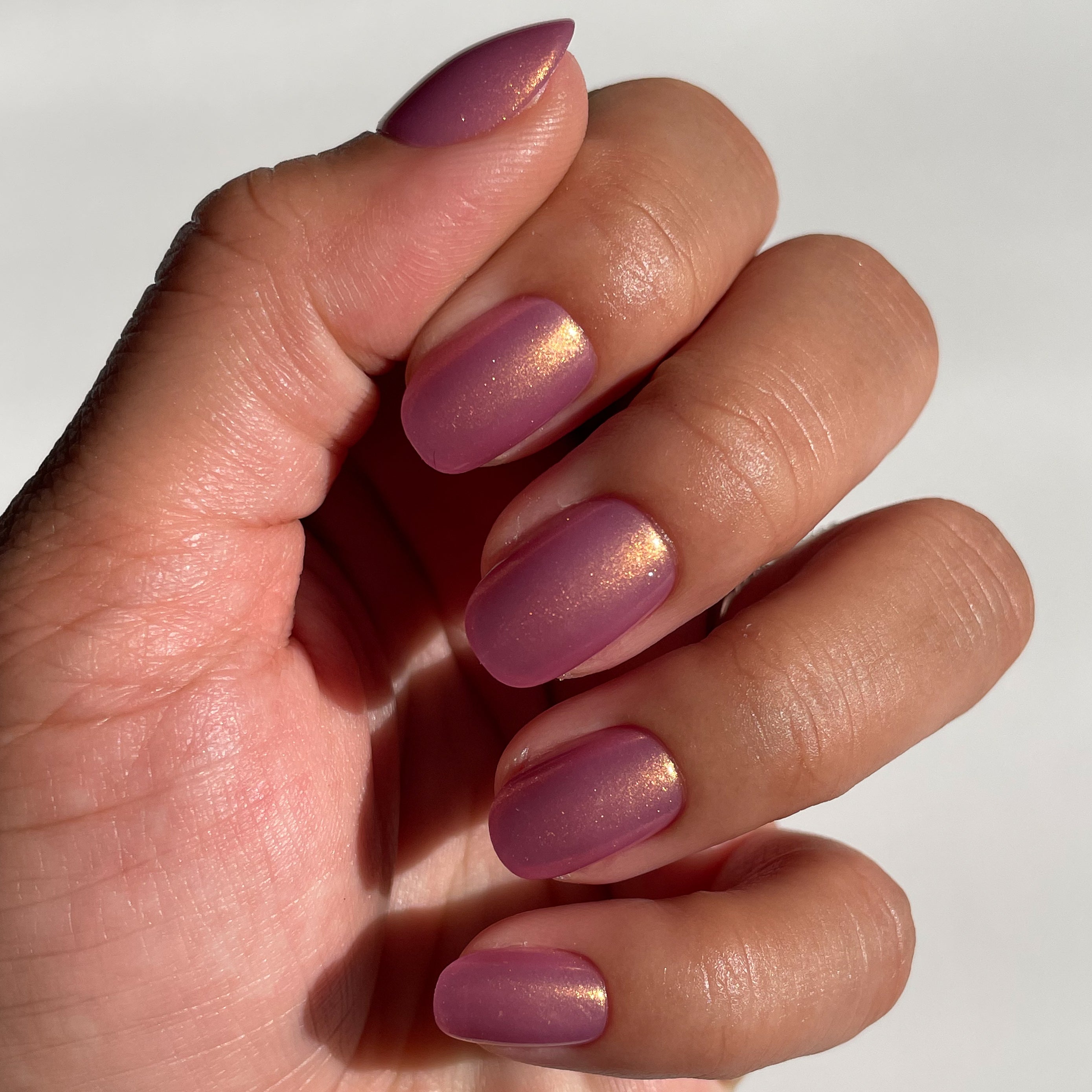 Baby Starfish | Round | Extra Short、mySite、solidvoid