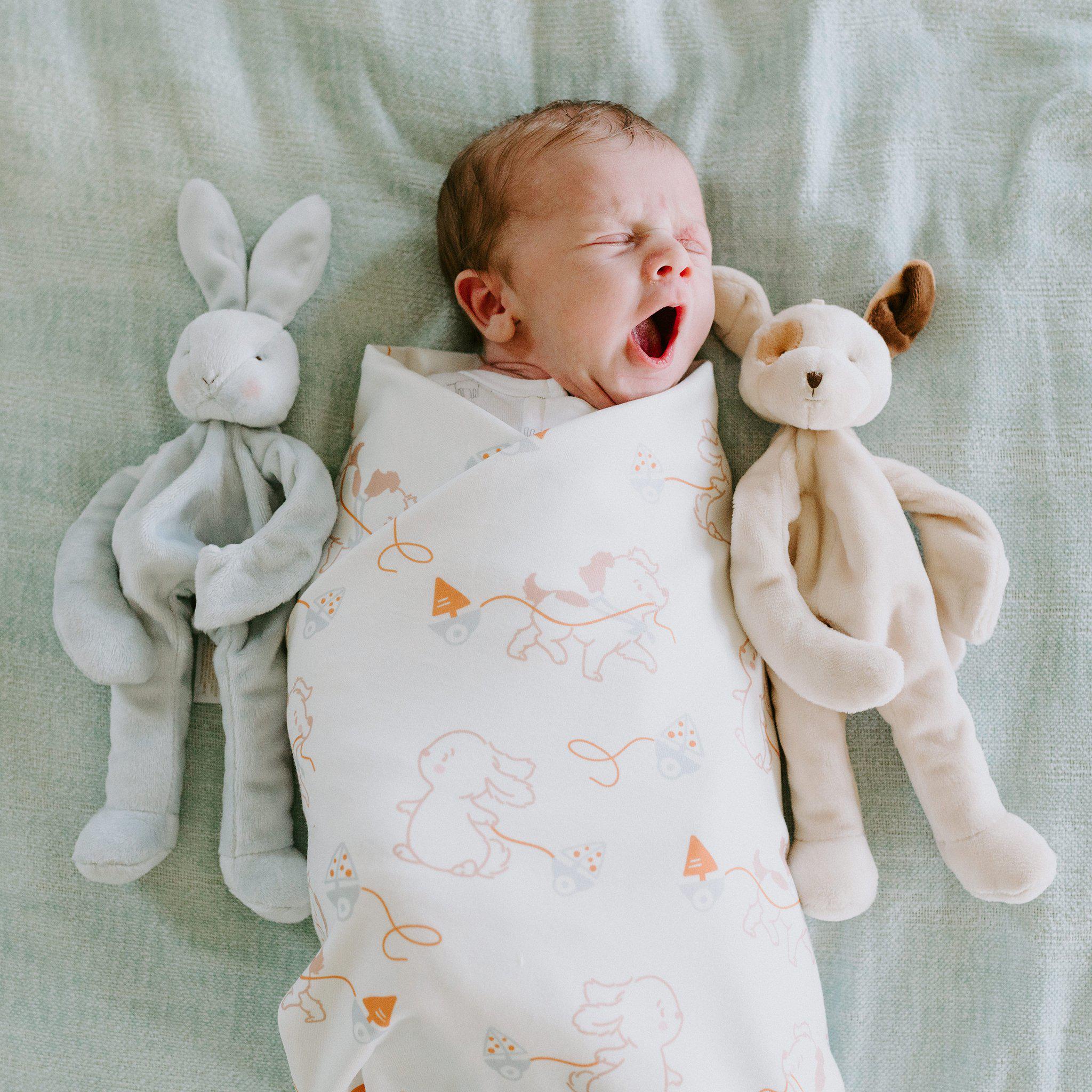 RETIRED - Newborn Baby Bud & Skipit Bundle Box、mySite、g9winljtr