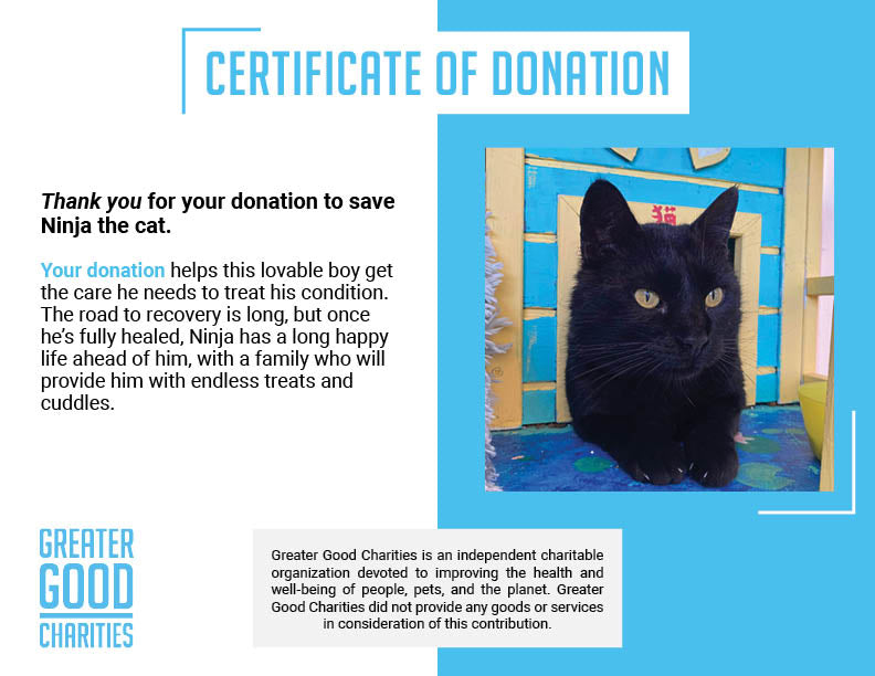 Funded: Help Ninja Recover From Gunshot Wound and Paralysis、mySite、camillekostekn