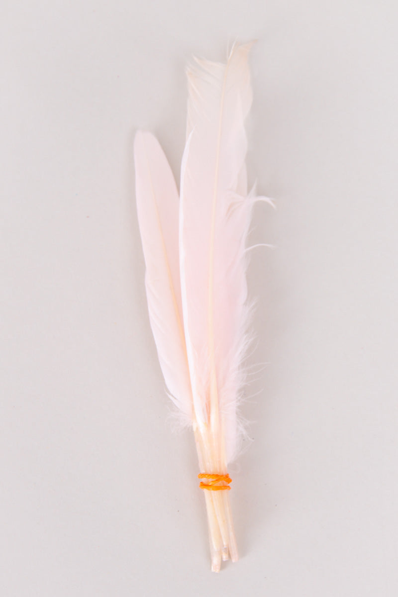 Mini Goose Feathers Bundle of 6- Orange Rubber Band - FINAL SALE、mySite、hinf8tx79