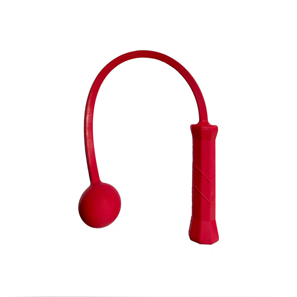 The Total Serve ServeMaster 1 Ball (10 & Under)、mySite、neckold