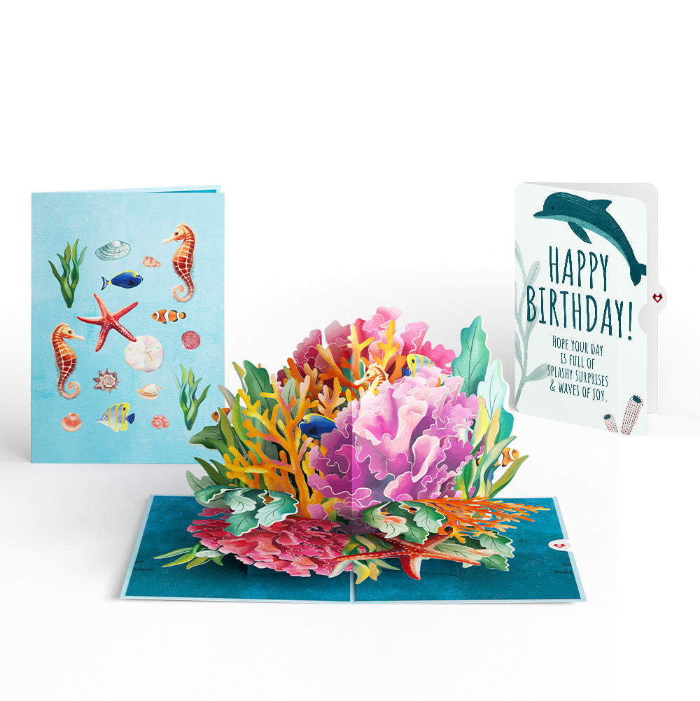 Coral Reef Wonders Birthday Pop-Up Card and Sentiment Set、mySite、solidvoid